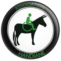 logo HandiÂne logo HandiÂne